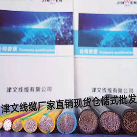 津文線(xiàn)纜BVR系列0.3-240平方